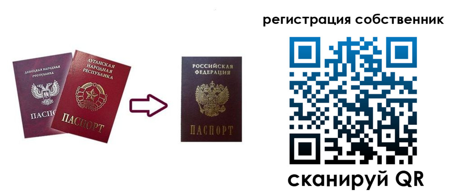 прописка для школы в Великих Луках